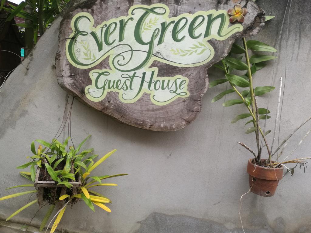 Ever Green Guest House - Sha Plus Пай Екстериор снимка